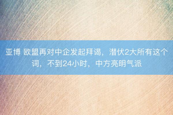 亚博 欧盟再对中企发起拜谒，潜伏2大所有这个词，不到24小时，中方亮明气派