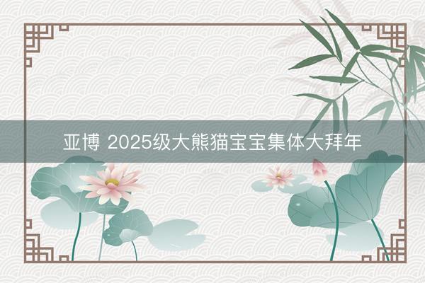 亚博 2025级大熊猫宝宝集体大拜年