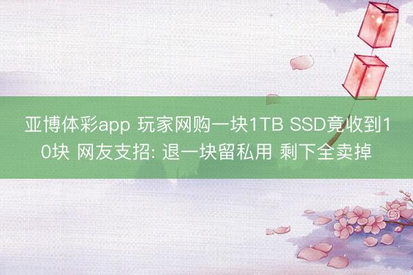 亚博体彩app 玩家网购一块1TB SSD竟收到10块 网友支招: 退一块留私用 剩下全卖掉