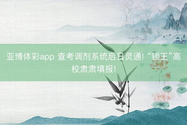 亚博体彩app 查考调剂系统后日灵通! “锁王”高校肃肃填报!