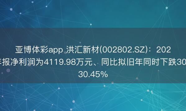 亚博体彩app 洪汇新材(002802.SZ)：2025年年报净利润为4119.98万元、同比拟旧年同时下跌30.45%