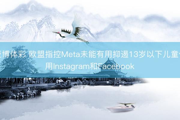 亚博体彩 欧盟指控Meta未能有用抑遏13岁以下儿童使用Instagram和Facebook