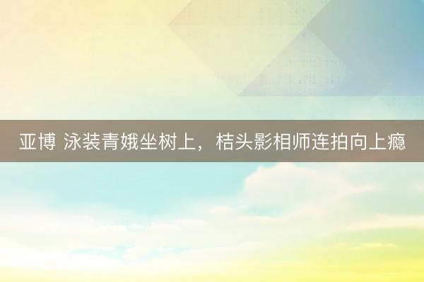 亚博 泳装青娥坐树上，<a href=