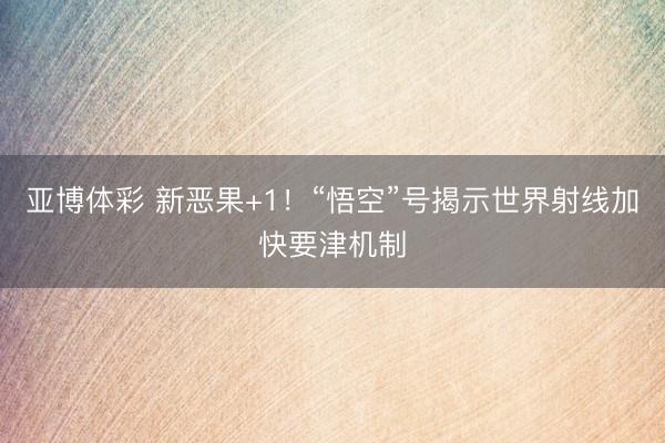 亚博体彩 新恶果+1！“悟空”号揭示世界射线加快要津机制